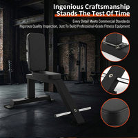 Chaise de musculation professionnelle pour pompes, haltères et presse à angle droit, pour l'entraînement des épaules et des triceps