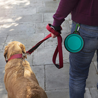 Bols pliables pour chien, bols de voyage portables pour animaux de compagnie, plats à nourriture pliables pour les voyages et le camping, bols en silicone avec mousquetons, lot de 2 pièces