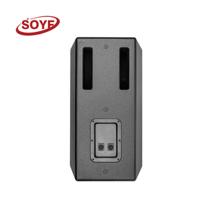 Phổ biến 10 inch đầy đủ phạm vi âm thanh Loa Karaoke chuyên nghiệp loa - Product Image 3