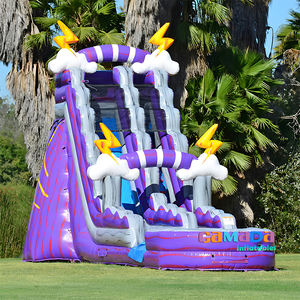 Toboggan aquatique gonflable commercial le plus vendu pour adultes, grand toboggan extérieur en PVC pour usage domestique, scolaire et résidentiel - Product Image 2