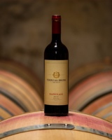 Vin rouge italien rouge toscan IGT Sangiovese Nappolaio bouteilles de 0.750 litres boisson alcoolisée GVERDI Selection Made Italy Red Wine