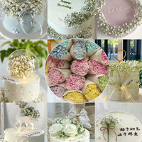 Bouquet de gypsophile en gros, fleurs séchées, fleurs de souffle de bébé conservées, couleur blanche pour mariage ou décoration de la maison