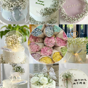 <span class=keywords><strong>Bouquet</strong></span> <span class=keywords><strong>de</strong></span> gypsophile en gros, <span class=keywords><strong>fleurs</strong></span> séchées, <span class=keywords><strong>fleurs</strong></span> <span class=keywords><strong>de</strong></span> souffle <span class=keywords><strong>de</strong></span> bébé conservées, couleur blanche pour mariage ou décoration <span class=keywords><strong>de</strong></span> la maison - Product Image 6