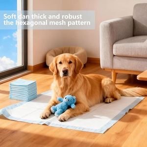 Tapis d'apprentissage jetables pour chiots, super absorbants et anti-fuites, pour l'entraînement à la propreté des animaux de compagnie - Product Image 2