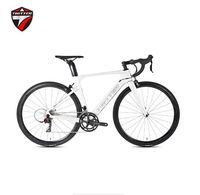 Bicicleta de Carretera R10 con Cuadro de Fibra de Carbono y Manillar de Aleación de Aluminio, 22 Velocidades, Frenos de Disco, 700C*28, Ligera, Tipo Hardtail