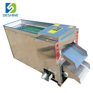 Cortador <span class=keywords><strong>de</strong></span> pimienta roja, máquina para quitar semillas <span class=keywords><strong>de</strong></span> pimienta <span class=keywords><strong>de</strong></span> <span class=keywords><strong>cayenne</strong></span> - Product Image 2