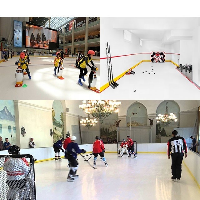 Basement Hockey Rink Boards hockey Training
