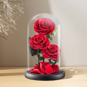 OFERTA DE <span class=keywords><strong>PRECIO</strong></span> ESPECIAL Rosa natural Regalo del Día de la madre Decoración Everlasting Forever Eternal Rose Flor preservada en cúpula de vidrio Led - Product Image 6