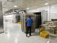 Déshydrateur de légumes à source de chaleur biomasse, chambre de séchage pour mangues, fruits de mer, crevettes, citrons, machine de séchage de fruits à combustible biomasse