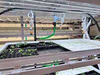 Système de jardinage hydroponique vertical UniFarm Mini avec double irrigation par flux et reflux et pulvérisation, contrôlable par application intelligente