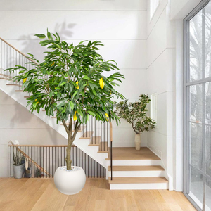 Bonsaï artificiel XY Mango Tree, décoration intérieure, certifié UV, feuilles vertes en PVC, modèle moderne fait main X-105, livraison rapide, directement <span class=keywords><strong>de</strong></span> l'usine - Product Image 2