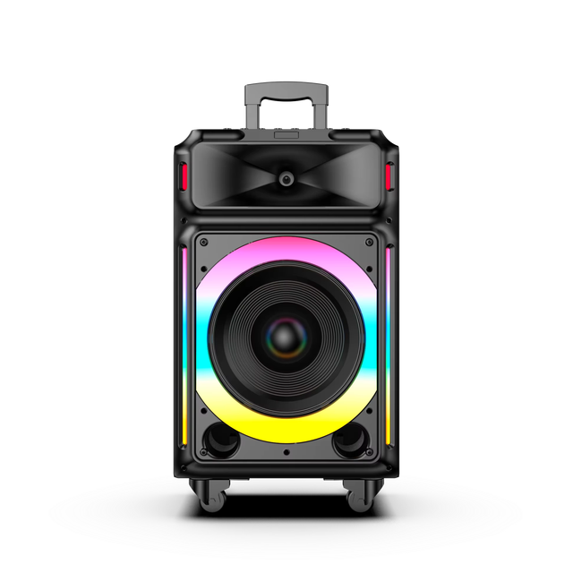 12-inch Portable  Karaoke Speaker with Mic Input, Rechargeable PA System for Singing, Party, and Family Fun