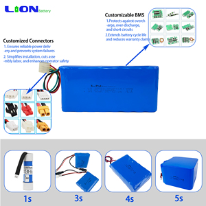 Batterie Li-ion CE 11.1V 2600mAh 3S 18650 avec connecteur à 2 broches pour lampadaire solaire, éclairage d'urgence, éclairage LED - Product Image 5