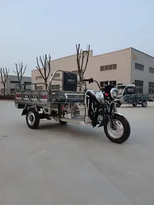 Triciclo eléctrico de acero inoxidable de 1,5 m, triciclo con motor de carga de 800W, transporte de carga