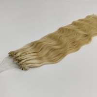Extensions de cheveux H6 Nano Feathers en gros directement de l'usine, tissage naturel Remy avec pointe en plumes pour salons
