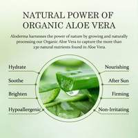 OEM Aloe Vera Gesichtsgel 100% Aloe Vera Gel Reinigend+Beruhigend Aloe Vera Angereichertes Gel Organisches Aloe Vera Blattgel für die Haut 100G