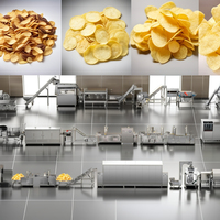 Automatische Tca Bevroren Frietproductielijn Voor Het Maken Van Gebakken Chips