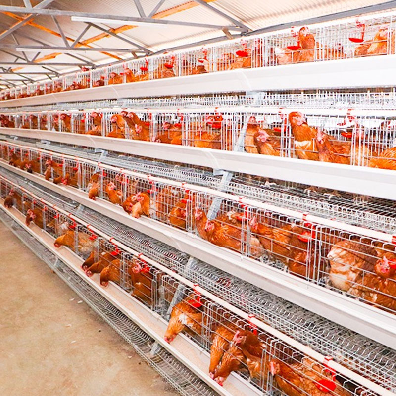 High Quality Poultry Farm a Type Q235 Steel Wire 3/4 Tiers Layer Chicken Cage Egg Hot Galvanized Laying Hens Cages