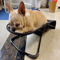 Offre Spéciale bébé maille respirant surélevé réglable Portable chien pliant Camping lit animal de compagnie chaise berçante pour chiots