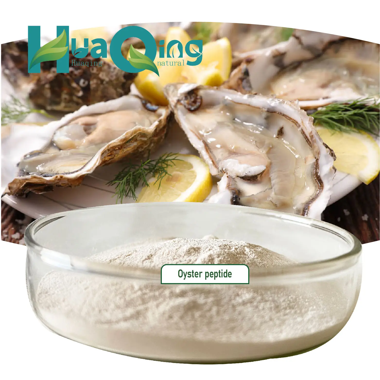 Supply Healthy Oyster Meat Extract powder Oyster Peptide