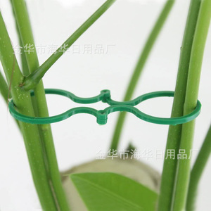 Clips de Plástico Verde en Forma de Ocho Haihua para Enredaderas y Ramas de Flores, Soporte para Uso en Jardín - Product Image 1