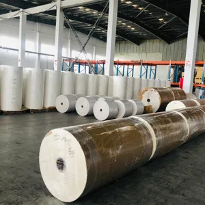 BOPP Jumbo roll flexo printing materials white PP for Dust printing machine master label roll