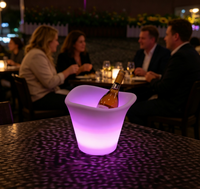 Seau à glace LED à changement de couleur IP65, rechargeable, avec télécommande, refroidisseur de vin lumineux pour bar, fête, boîte de nuit, Noël, Halloween