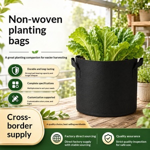 Sacs de culture de fleurs et de plantes en tissu non tissé, pliables et portables, pour la culture de légumes et de fraises à domicile et au jardin, vente en gros transfrontalière - Product Image 2