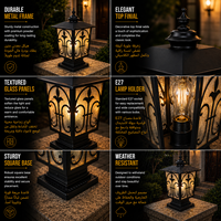 Luxe buitenlantaarn met decoratief Fleur-de-lis frame en matglas