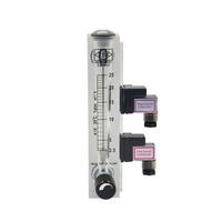 LZM- Serie de flujo acrílico con interruptor de límite de alarma, medidor de ruta montado en Panel