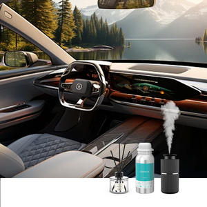 Juego de aceites esenciales de difusor ecológico de alto rendimiento al por mayor, Aceites perfumados fuertes para máquinas aromáticas de coche, hogar y oficina - Product Image 6