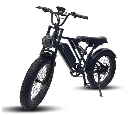 EU倉庫対応在庫電動Fatbike20インチ24インチ250w500wアーバン電動自転車スチールドイツEUアダルトバイク