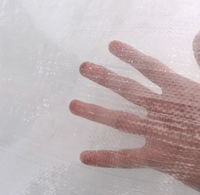 Chine Usine Nouveau Vide Personnalisé Jetable De Haute Qualité Transparent PP Sac Tissé