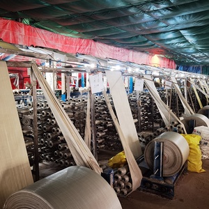 Tùy Chỉnh In Ấn Nhiều Lớp 2.5Kg 5Kg 10Kg 15Kg <span class=keywords><strong>PP</strong></span> Dệt 50Kg Gạo Túi Gạo Bao Túi Cho Gạo Hạt 25Kg Túi Polypropylene - Product Image 6