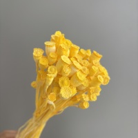 Fleurs de coquelicot séchées naturelles or et argent, 50 grammes par bouquet, pour arrangements floraux, décorations de mariage DIY, décoration de maison et de remise de diplôme, nouveauté