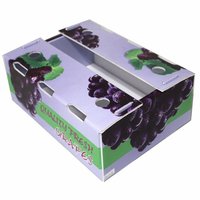 Boîtes en plastique ondulé pp en vente chaude, boîte d'emballage pour pastèque pour le stockage