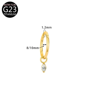 Anting <span class=keywords><strong>Titanium</strong></span> F136 Model Dangle Zircon, Stud Tulang Rawan Telinga Berkualitas Tinggi, Anting Daith Rook Hoop, Perhiasan Tindik Tubuh, Grosir - Product Image 6