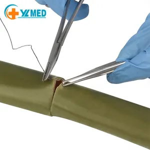 La testa infermiera per studenti di medicina nelle scienze mediche insegna il corso di sutura del modello di sutura intestinale in silicone
