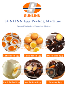 सनलिन 10000 pcs/h नरम/कठोर उबले चिकन अंडे पीलिंग मशीन कोर में खाद्य विनिर्माण संयंत्रों के लिए इंजन पंप असर - Product Image 2