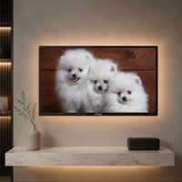 TV LED LCD Layar Besar Amaz FHD 43 50 55 Inch Televisi Slim Android TV Smart