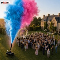 Fournitures pour fête de révélation du sexe : Canon à fumée TNT, lance-confettis et machine à éclats de poudre pour garçon ou fille