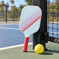 Raquette de pickleball en fibre de verre avec noyau en PP pour débutants, usage récréatif, clubs scolaires, vente au détail et en gros, logo personnalisé, commandes en gros