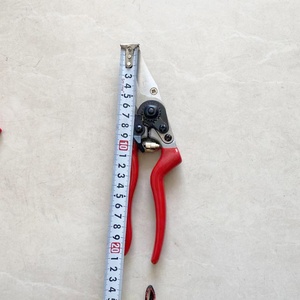 Usine chinoise, lame SK5, 21cm, ciseaux de cueillette de raisin de jardin, cisaille de dérivation, sécateur de fleurs de vigne - Product Image 4