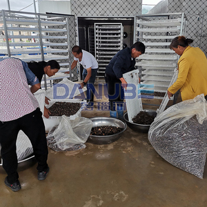 Manufacturer-Priced Mushroom Heat <b>Pump</b> Dryer Mushroom Dehydrator Equipment Mushroom Drying Machine - Product Image 3
