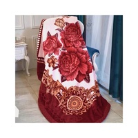 Hot Selling 100% Polyester Custom Nerz Bettwäsche Set Neues Design Modische Muster Raschel Decke 2-7kg Abdeckung