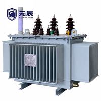 Transformateur immergé dans l'huile à enroulements en cuivre 6kV 11kV 13,8kV 15kV 22kV 33kV 30kVA 63kVA 125kVA 315kVA 500kVA 630kVA conforme à la norme IEC 60076