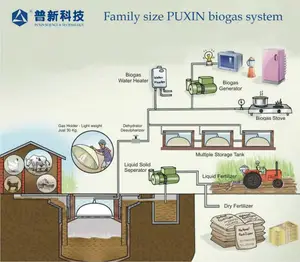Planta de biogás y biodigestor industrial para fábrica y escuela