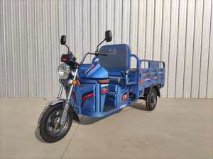 Tricycle électrique 60V très demandé pour le <span class=keywords><strong>transport</strong></span> de marchandises en usine et en agriculture - Product Image 1