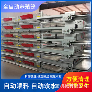Cage à poulets automatique en acier inoxydable de type H pour usage agricole - Product Image 5