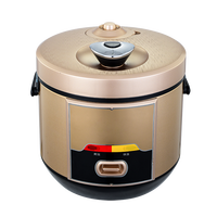 Autocuiseur Électrique Domestique Multifonctionnel en Acier Inoxydable avec Cuve Intérieure en Alliage d'Aluminium – Appareil de Cuisine Portable et Rapide